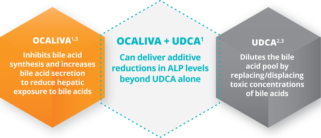 Graphic explaining how OCALIVA® (obeticholic acid) differs from UDCA