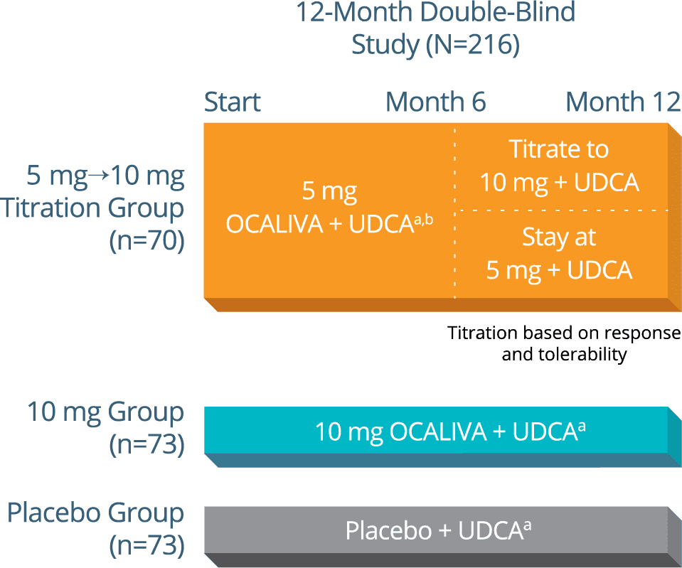 Chart showing the study design of the OCALIVA® (obeticholic acid) pivotal trial